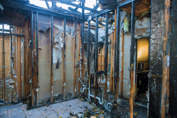 Professional Smoke Damage Removal technician working in Vineyard, UT